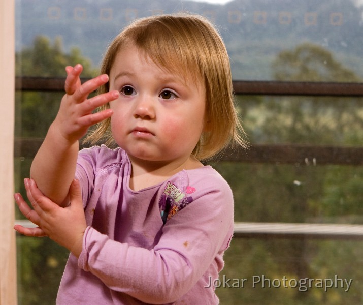 Kangaroo Valley_20070708_118.jpg